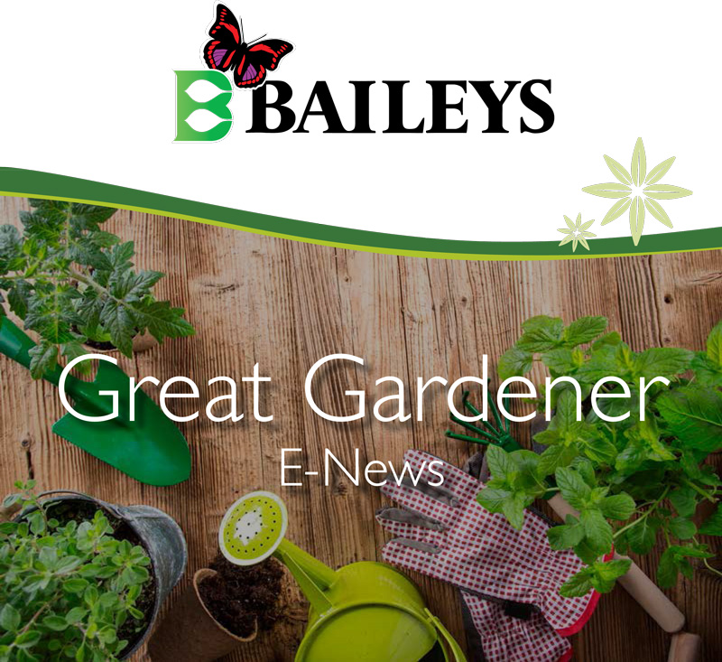 Baileys Fertiliser Great Gardener Enews Header